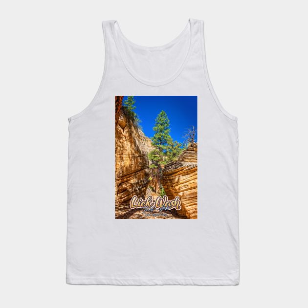 Lick Wash Trail Hike Tank Top by Gestalt Imagery